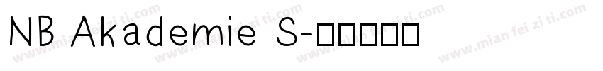 NB Akademie S字体转换